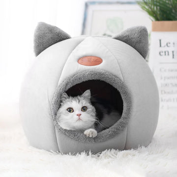 CozyCat Dome