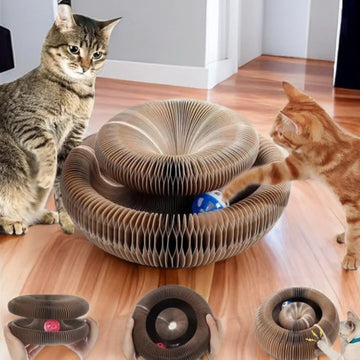 Kitty Loop