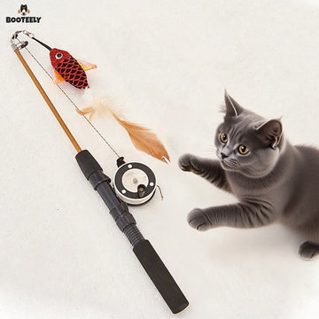 Fishing Rod Cat Toy