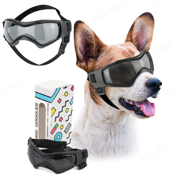 PawGlasses