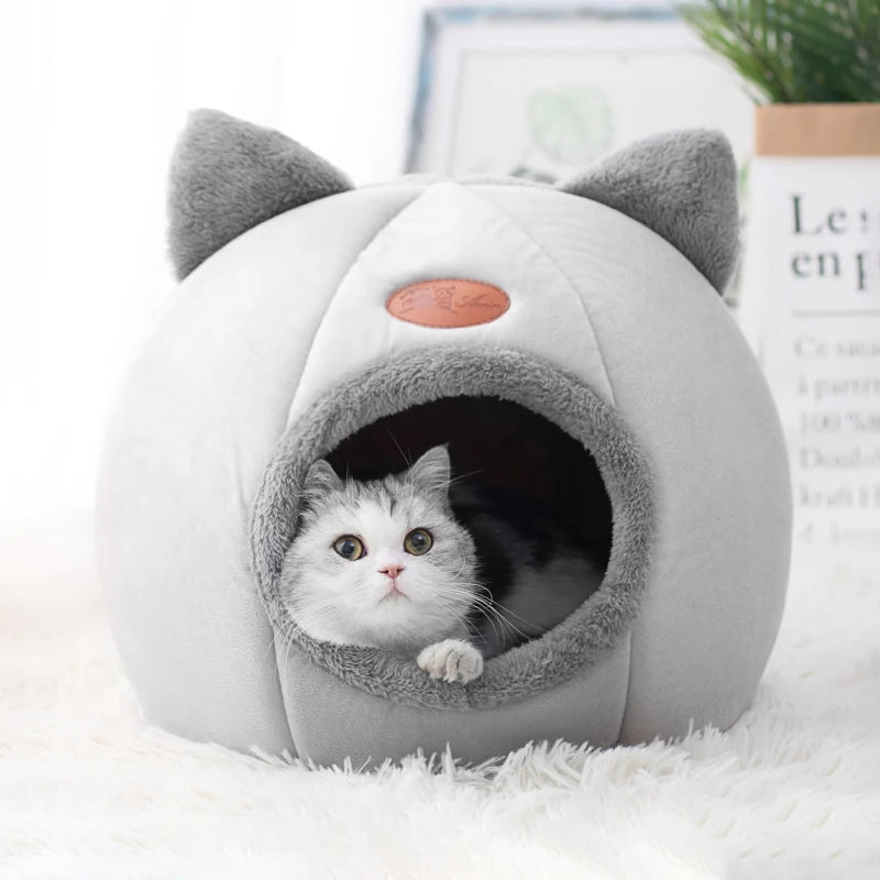 CozyCat Dome
