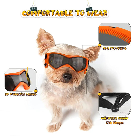 PawGlasses