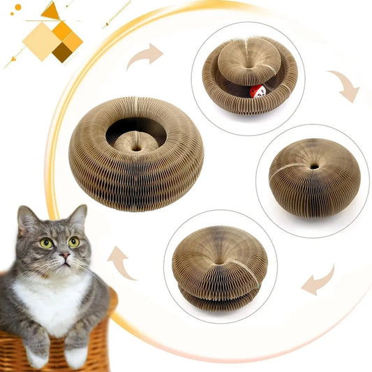 Kitty Loop
